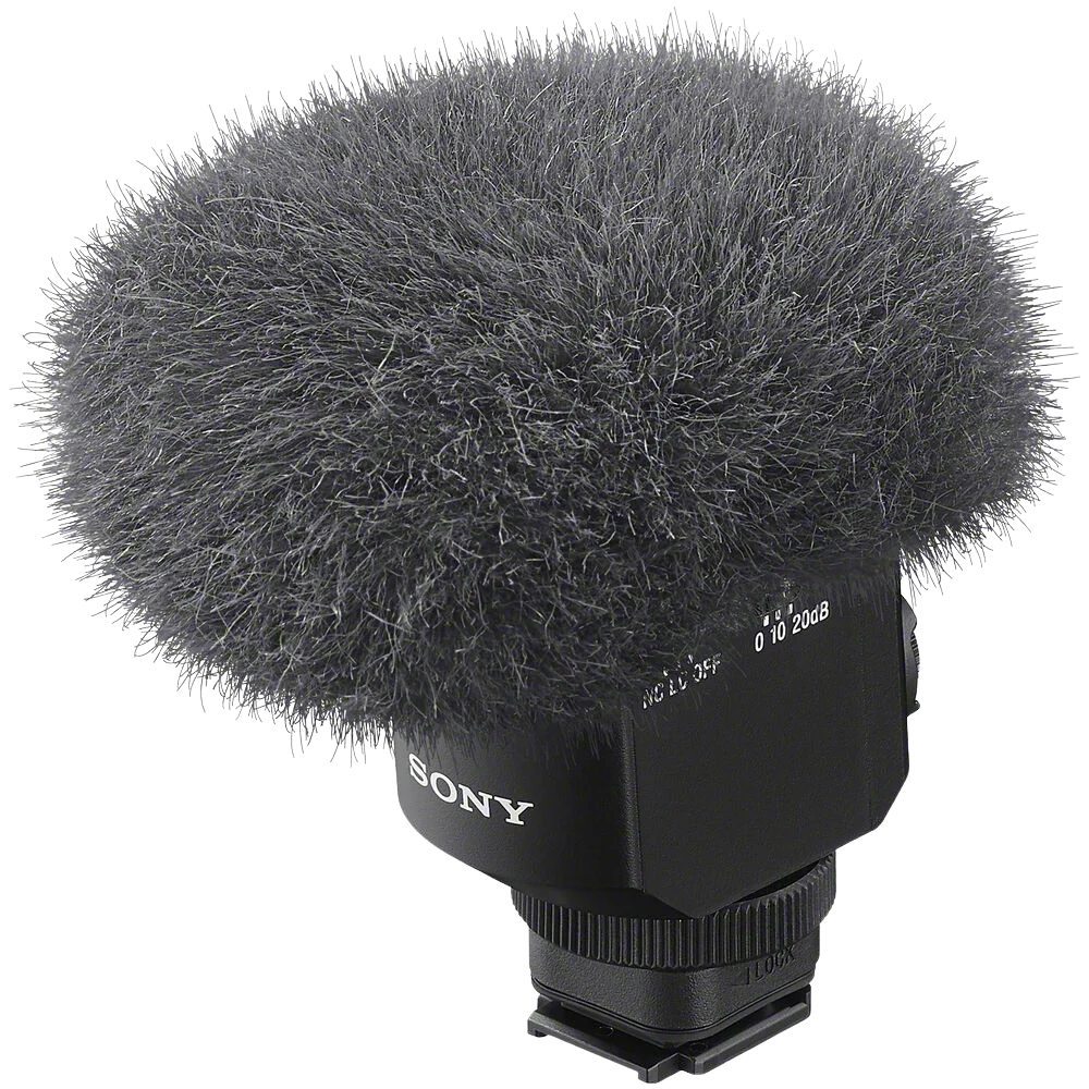 Sony ECM-M1